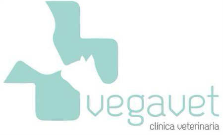 Logo del sitio